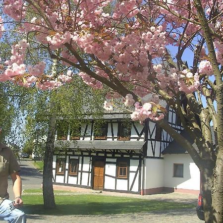 Beltheim Ferienhaus Schmitt מראה חיצוני תמונה